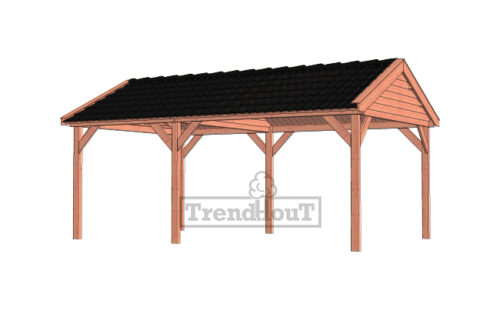 Overkapping Zadeldak Betula 630x415 cm