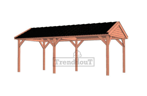 Overkapping Zadeldak Betula 680x350 cm