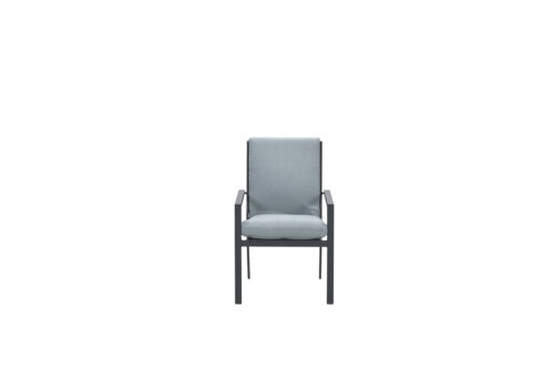 Sergio dining fauteuil carbon black/ mint grey