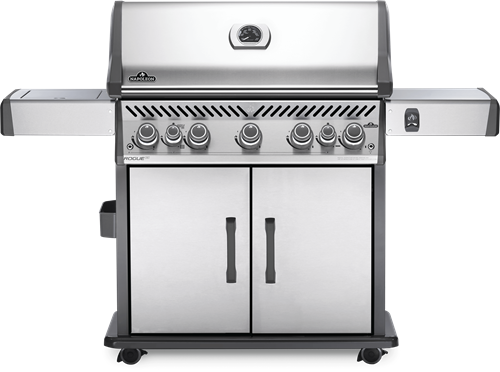 Rogue SE 625 RVS