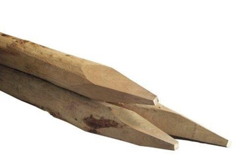 Robinia ronde paal 6-8cm 120cm