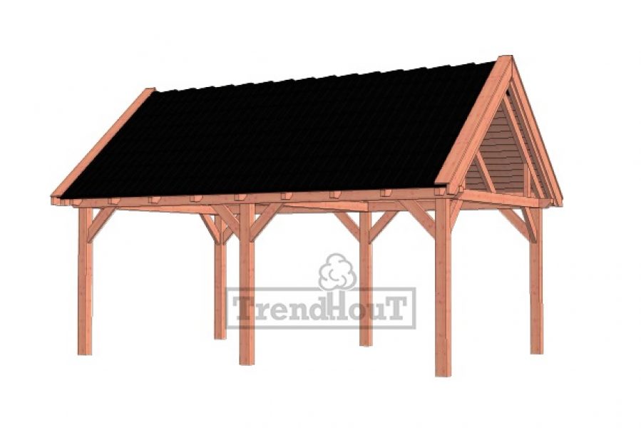 Overkapping Zadeldak XL 635x440 cm