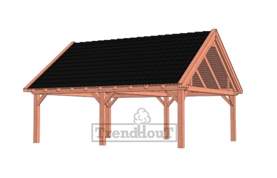 Overkapping Zadeldak XXL 785x700 cm