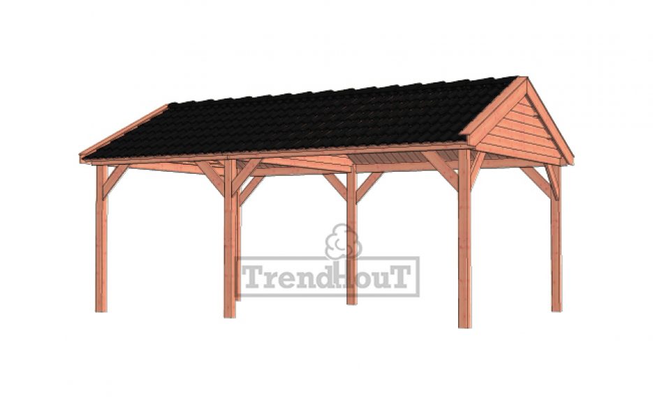Overkapping Zadeldak Betula 630x415 cm