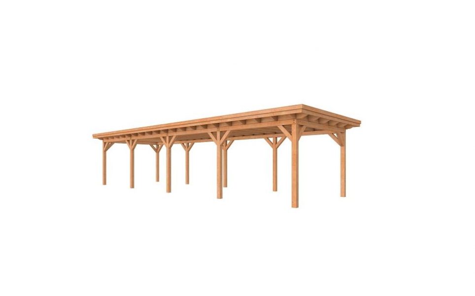 Douglasvision Overkapping Prestige 1200x360 cm