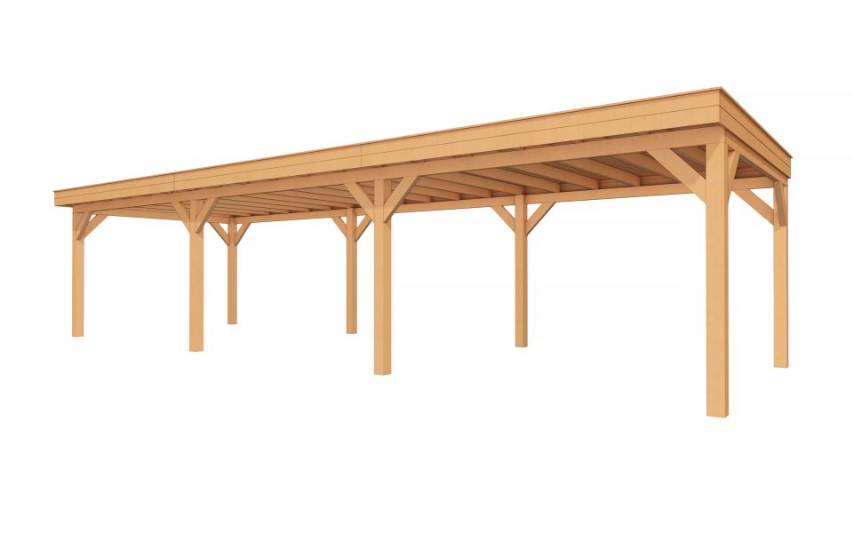 Buitenverblijf SUBLIME Plat dak - 1100 x 350 cm