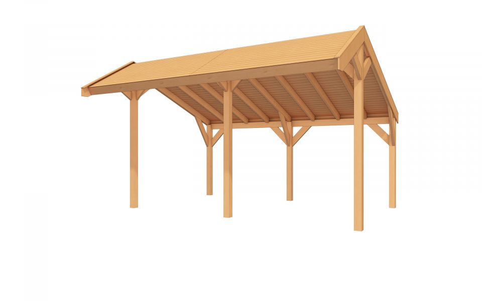 DHZ Buitenverblijf EASYLINE Kapschuurdak - 500 x 300 cm