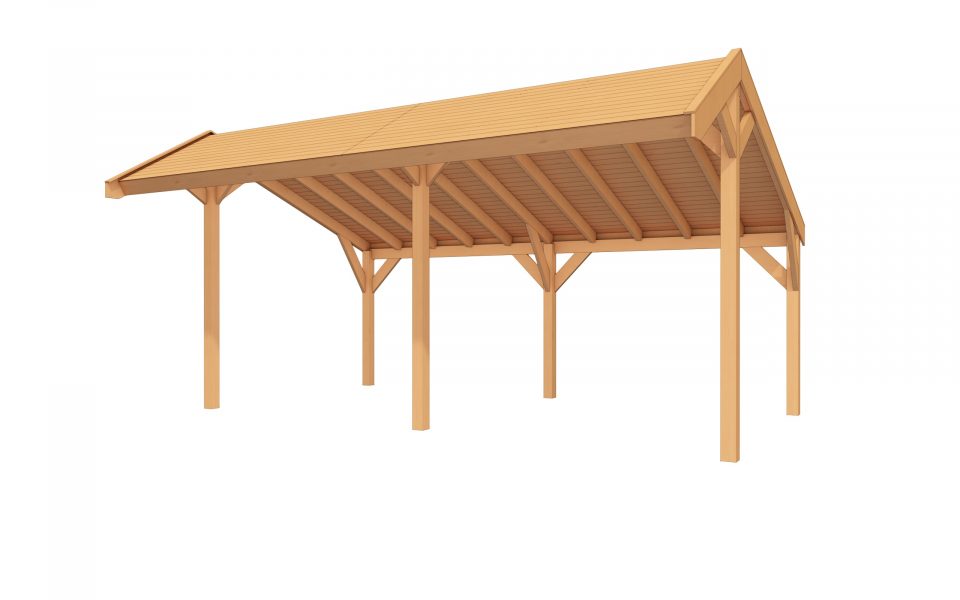 DHZ Buitenverblijf EASYLINE Kapschuurdak - 600 x 300 cm